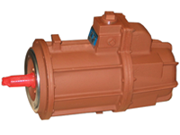 Water / Sewage Motor