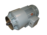 Mine Duty Motor