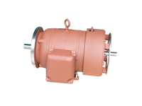 Offshore Duty Motor